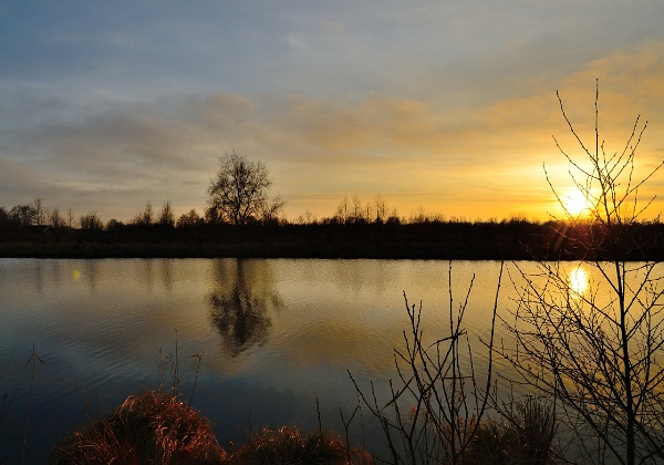 De Deelen (Friesland)